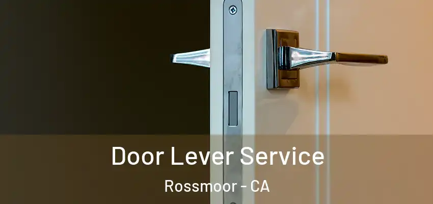  Door Lever Service Rossmoor - CA